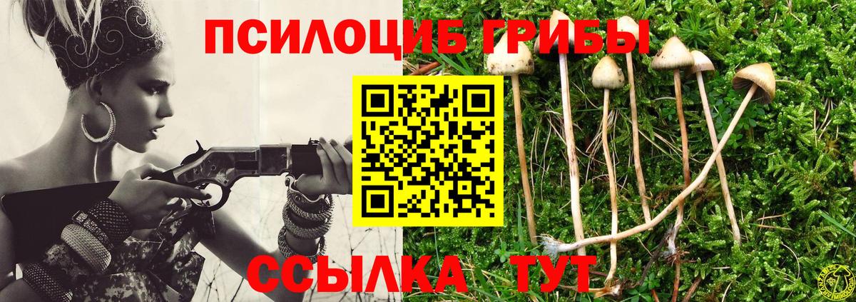 Псилоцибиновые грибы прущие грибы Сафоново