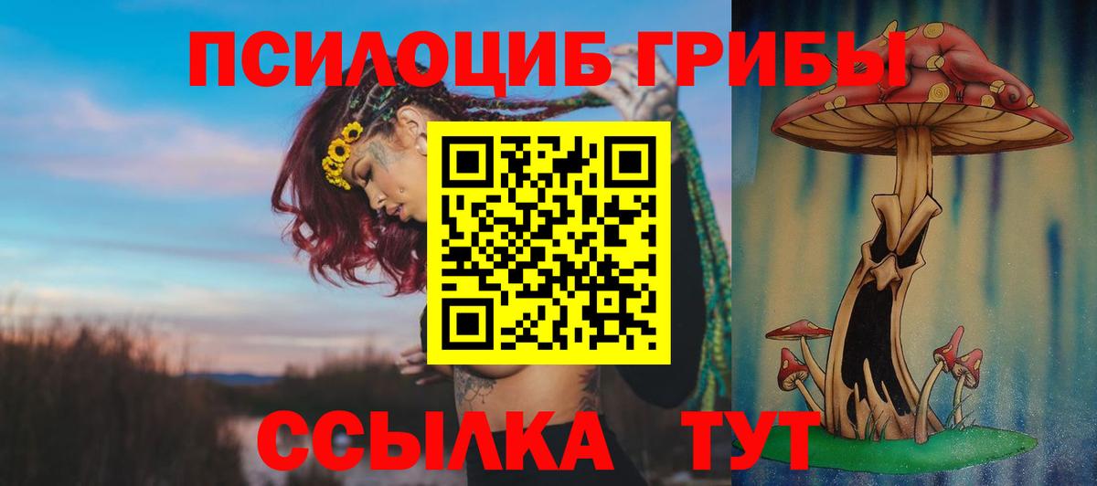 Сафоново  Галлюциногенные грибы Psilocybe  Вход с VPN 